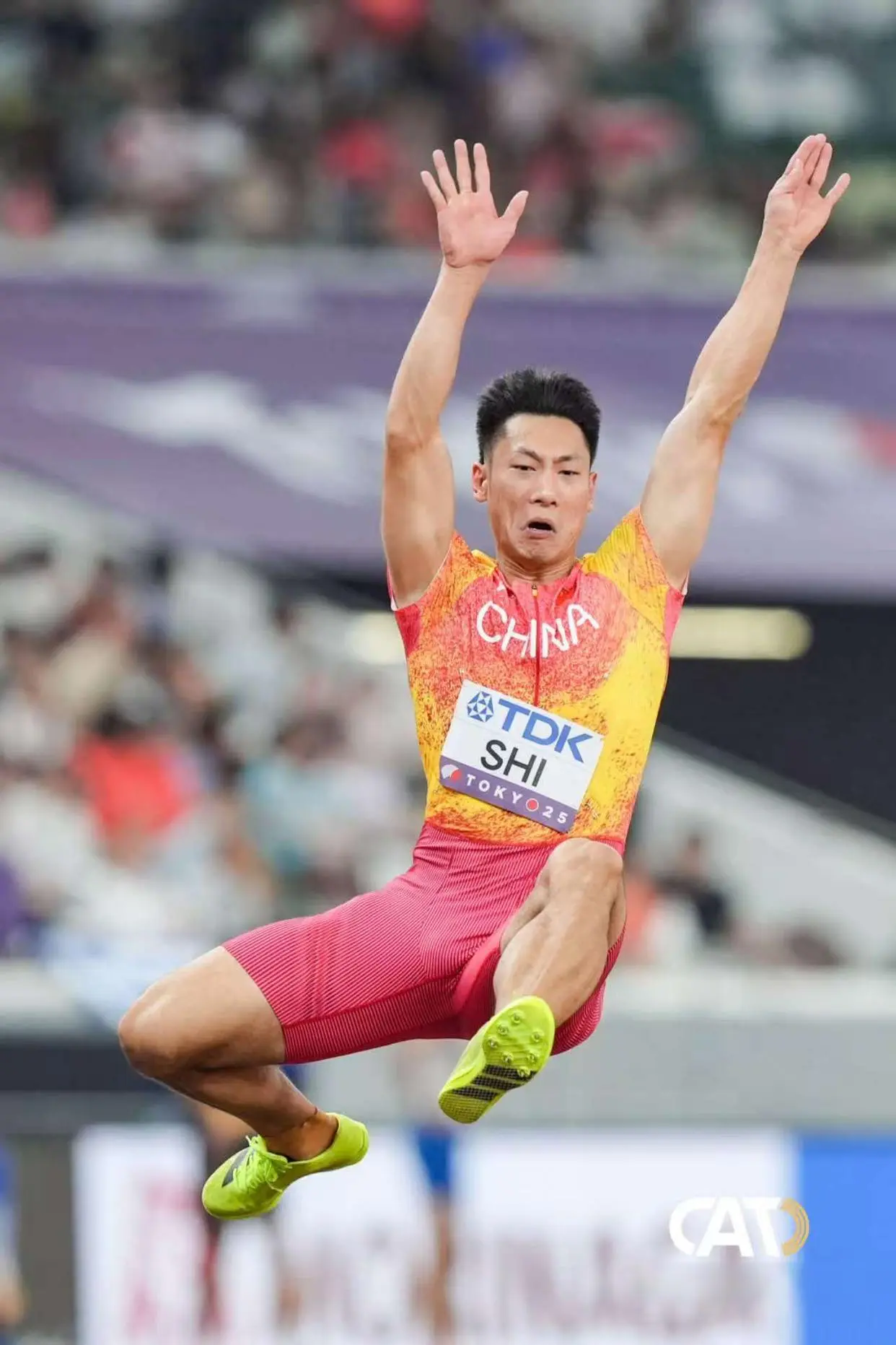 他在钻石联, 铜牌, 跳出 他在钻石联, 铜牌, 跳出