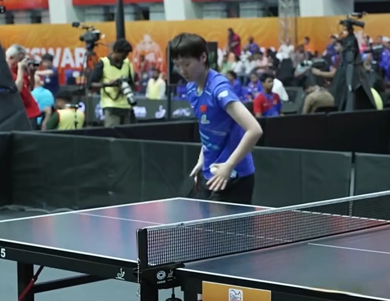 依然可以保 依然可以保