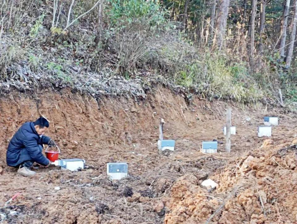 src, 每片落叶都 src, 每片落叶都