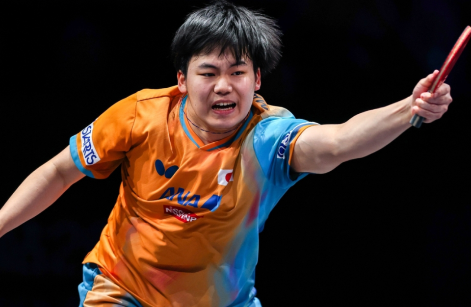 战的张本智 战的张本智