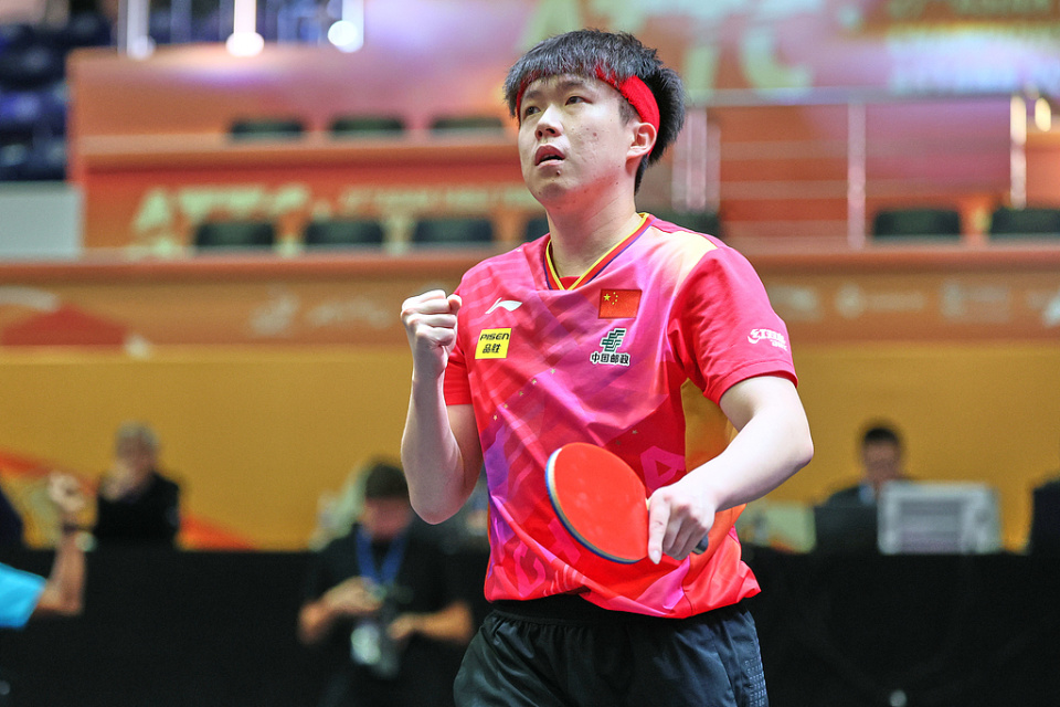 瞬间一片欢 瞬间一片欢