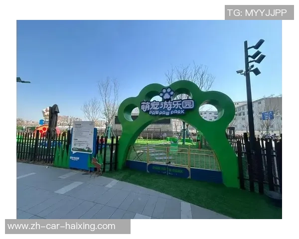 “握个爪”,杨浦体育赛事引进“宠物赛道”